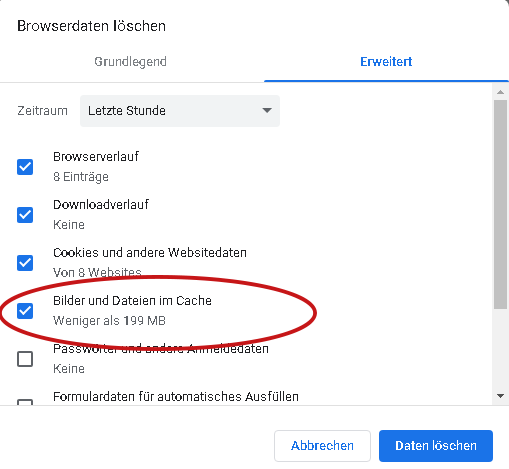 Browser Cache 2